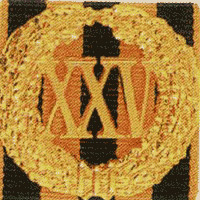 Знак отличия "За безупречную службу" на георгиевской ленте