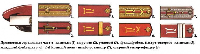 Дроздовцы - стрелковые части