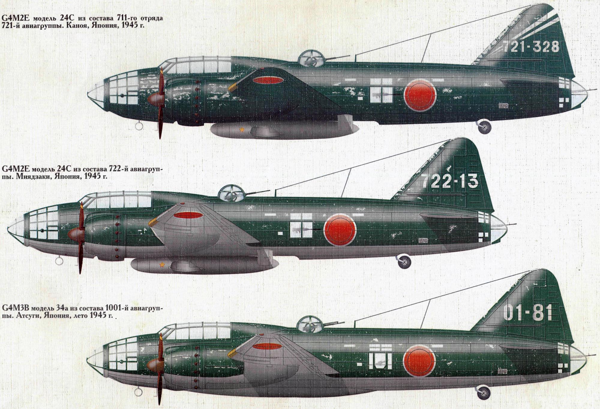     1939 1945